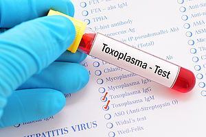 Toxoplasmose ist eine Infektionskrankheit