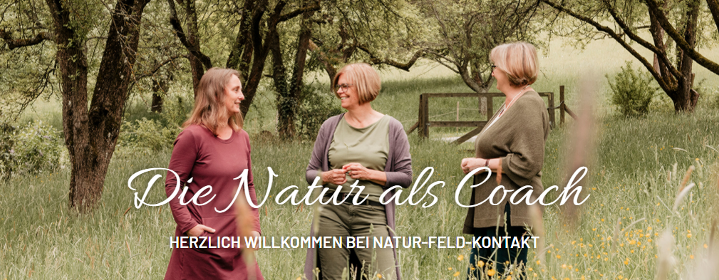 Natur-Feld-Kinesiologie